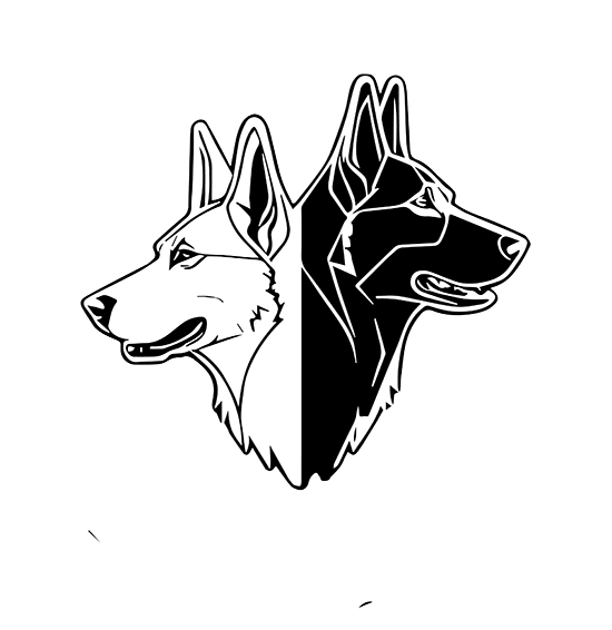 CrossFit Aiken logo